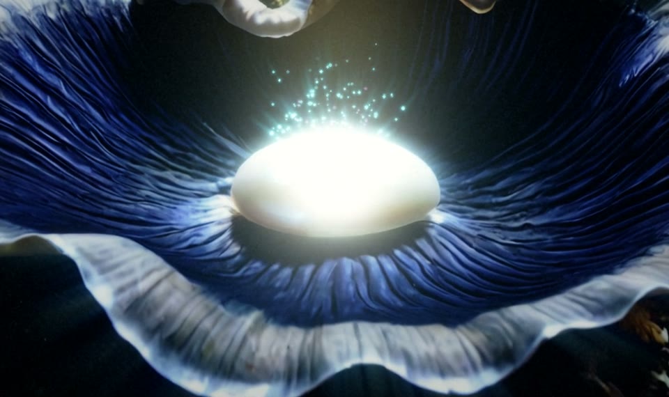 Mission 2: Wake the Moon Pearl